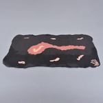 Rare Gaetano Pesce NOBODY'S Tablecloth, 81